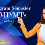 PROGRAM SEMESTER SENI BUDAYA KELAS IX